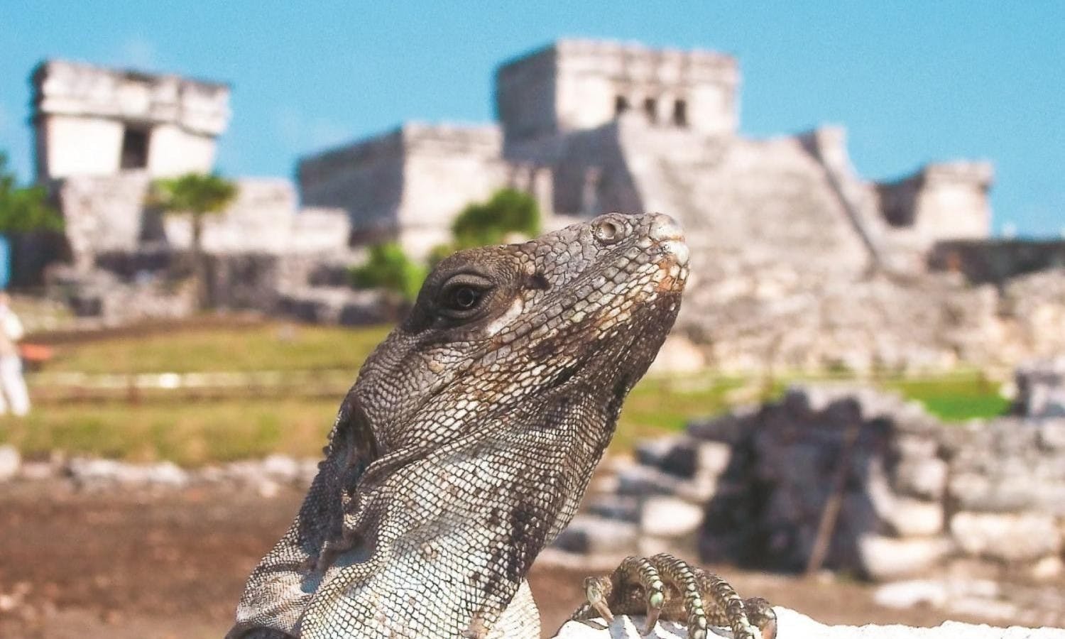 Tulum Discovery tour from Cancun and Riviera Maya-2