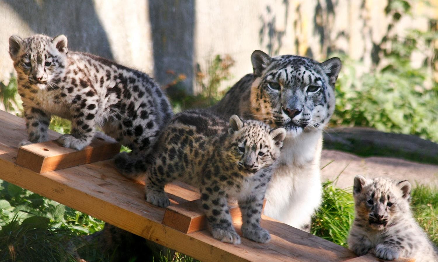 Helsinki Whole City with one card1.jpg