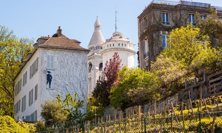 Montmartre 2-hour private walking tour