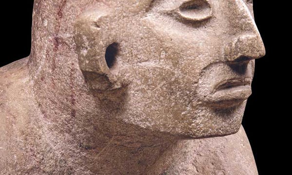 Maya_Il linguaggio della bellezza_mostra al Palazzo della Gran Guardia Verona.png