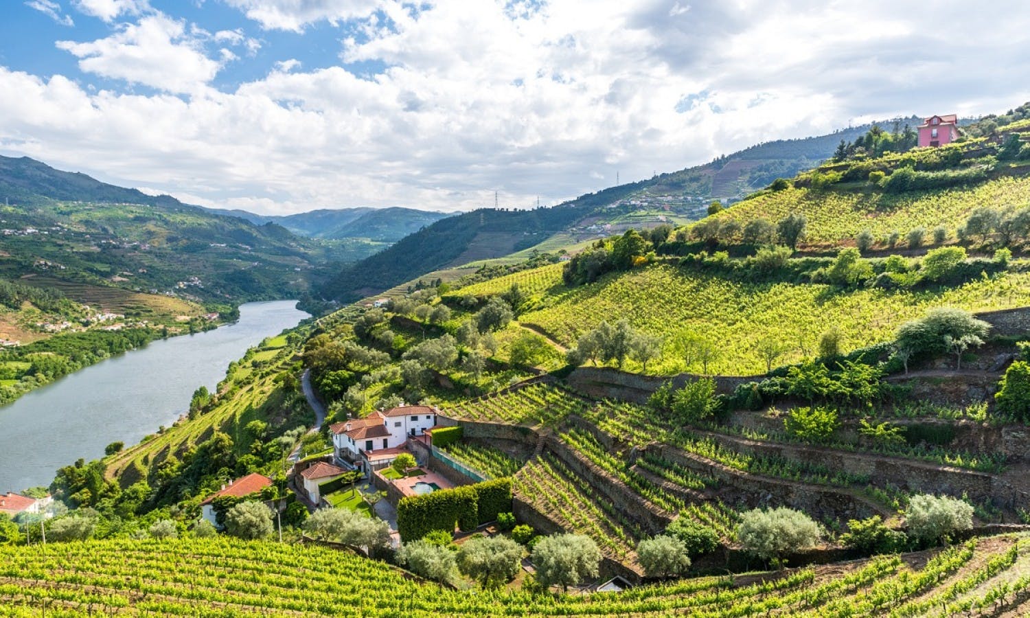 Landscape of the Douro river.jpg
