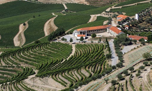 Douro.jpg
