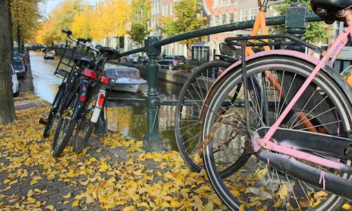 Amsterdam bike tour leaves and bikes.jpg