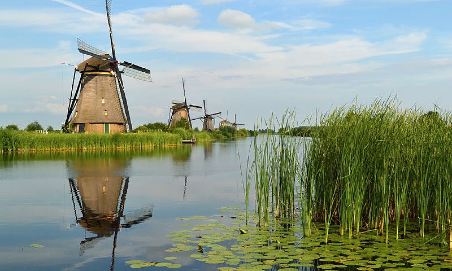 Day trip to Kinderdijk and The Hague-0