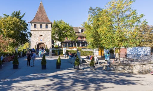 Rhine Falls - Europe`s biggest waterfalls from Zurich-1