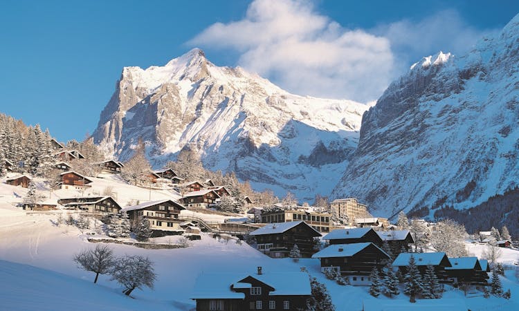 Swiss ski experience from Zurich
