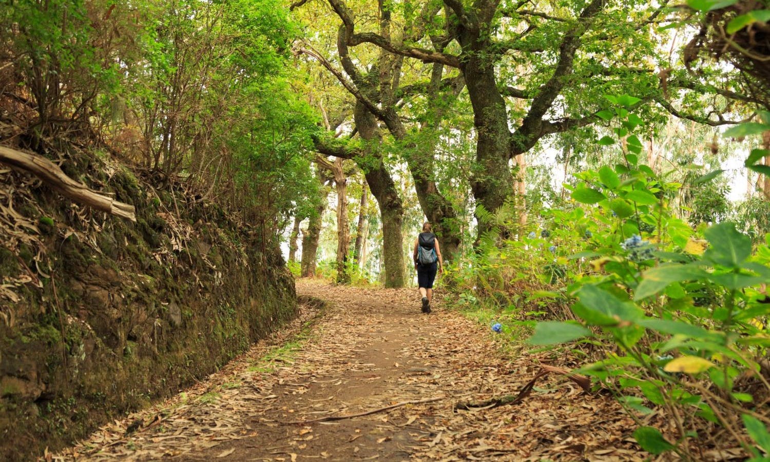 Madeira Northwest coast tour 3.jpg