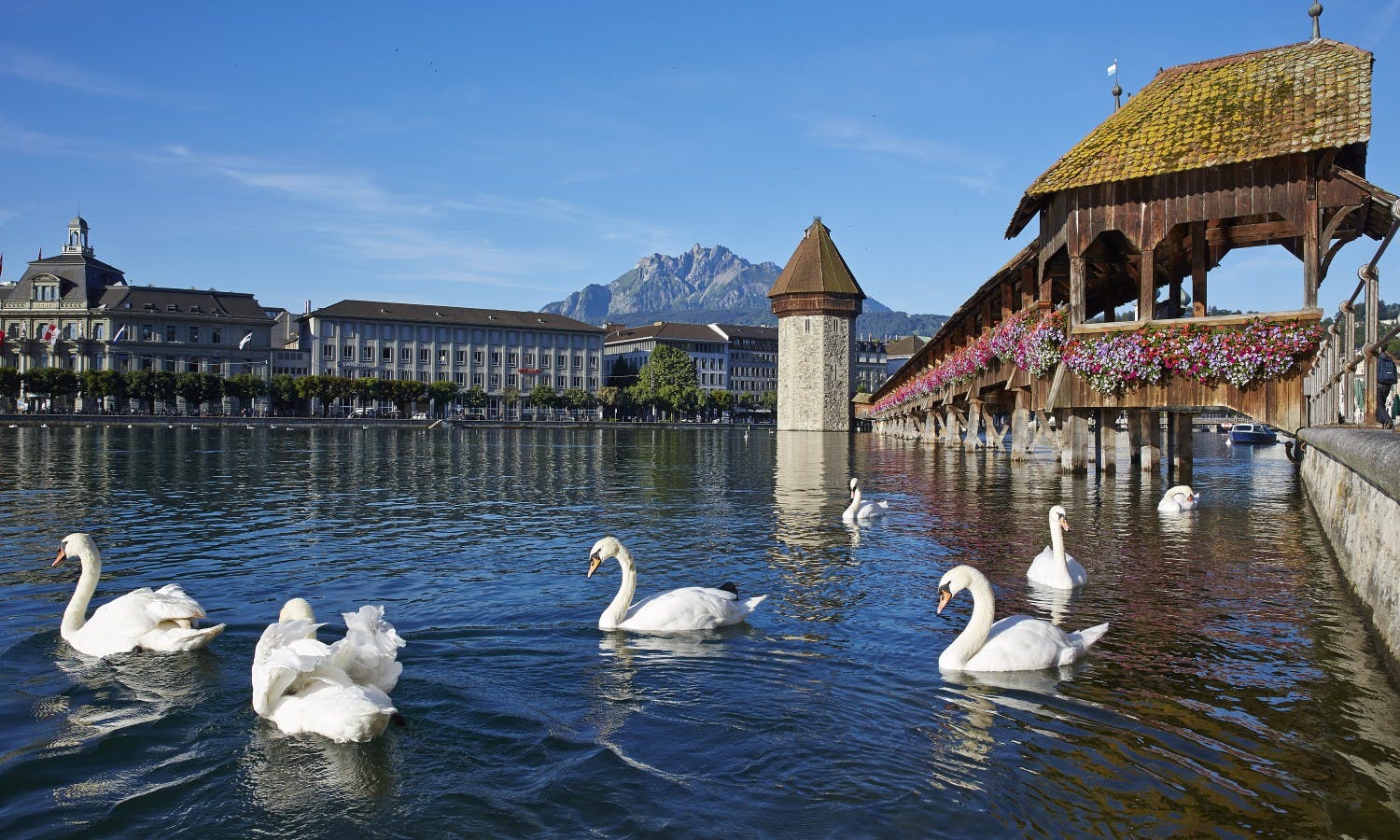 Lucerne – most charming Swiss town-1