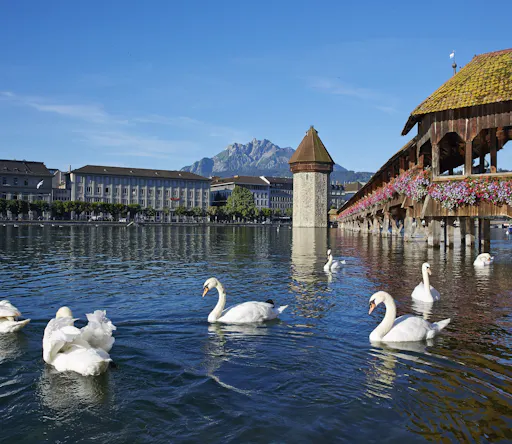 Lucerne and Mount Titlis snow experience-4