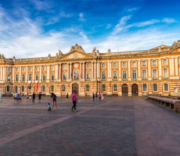 Toulouse City Card Musement