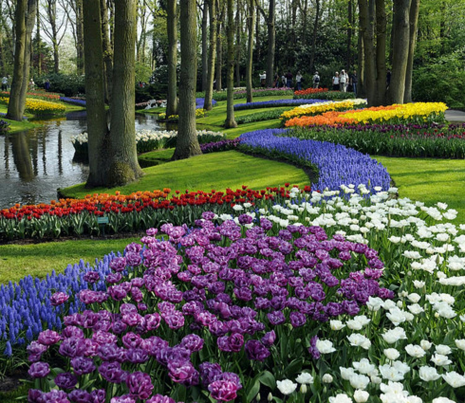 Keukenhof and flowerfields tour with free Amsterdam canal cruise-0