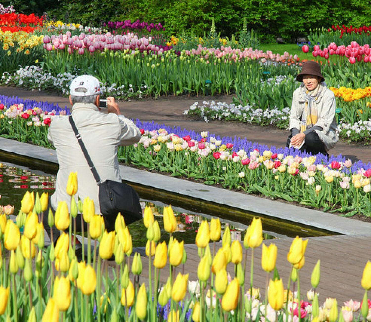 Keukenhof and flowerfields tour with free Amsterdam canal cruise-1