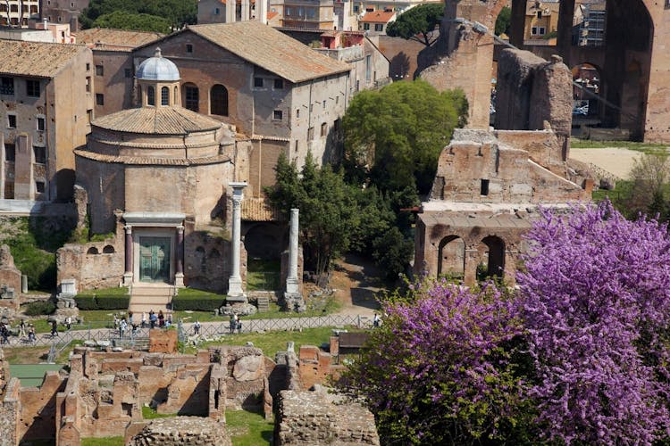 Semi-private Colosseum tour with access to the Arena Floor, Roman Forum and Palatine Hill