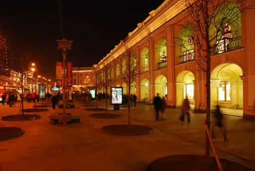 Highlights of St.Petersburg with Peter and Paul Fortress and The Church of Spilled blood-2
