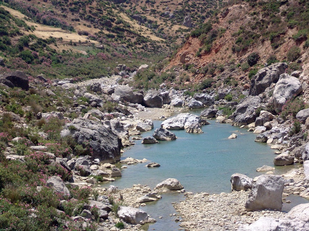 Atlas Mountains and 4 Valleys guided day tour from Marrakech-1