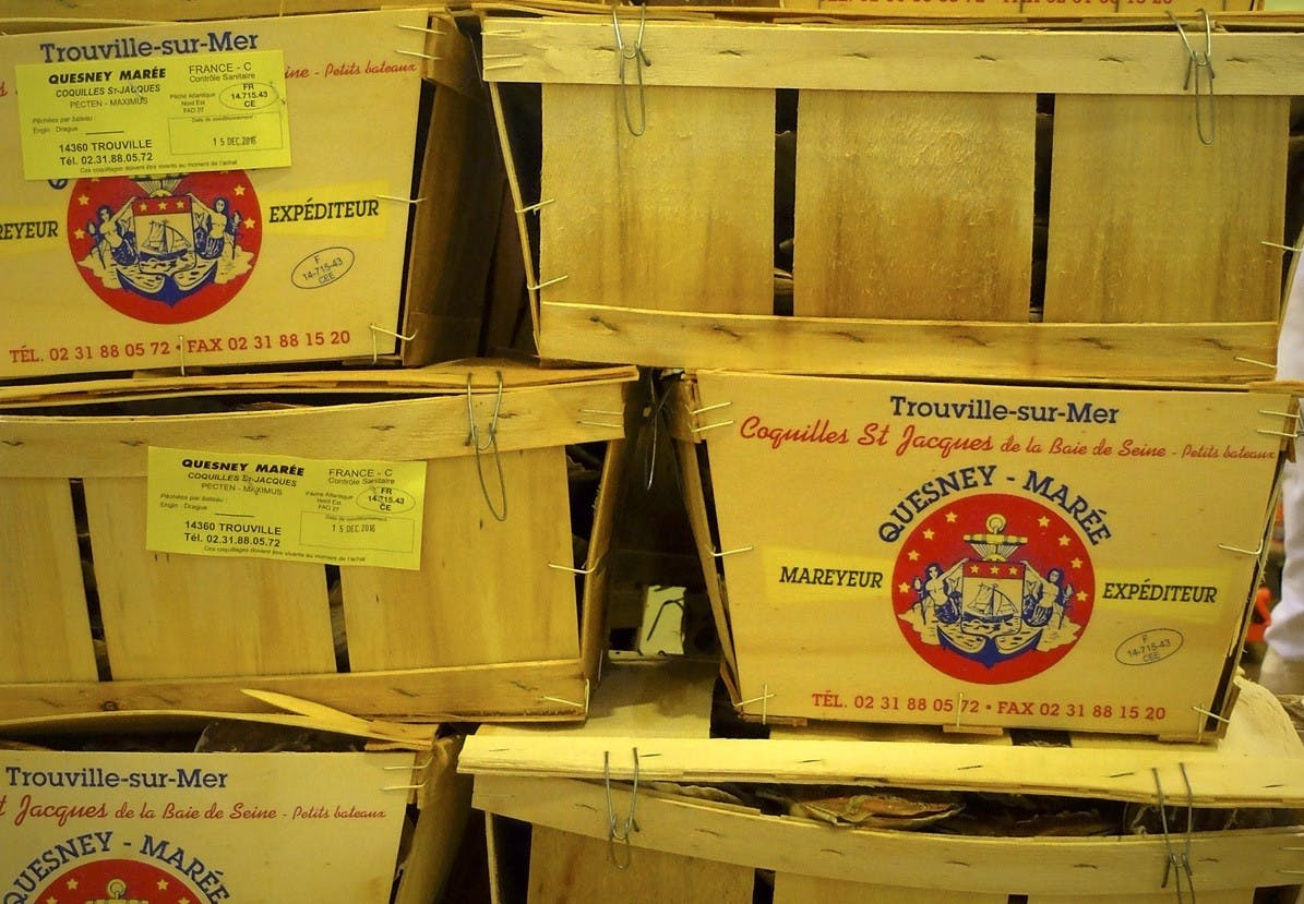 Visite guidée du marché de Rungis-0