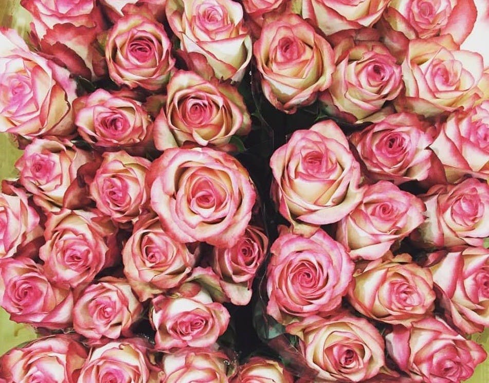 Visite guidée du marché de Rungis-5