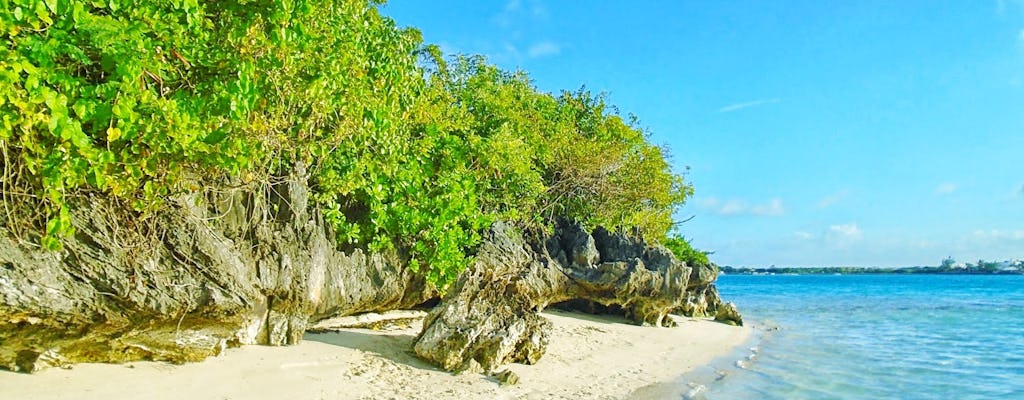 Experiences in Mauritius Island