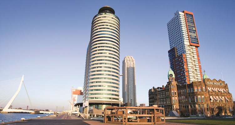 Rotterdam walking tour harbour with tall buildings.jpg