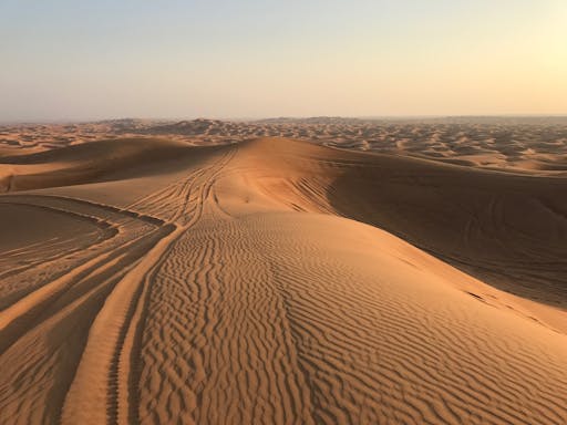 desert1.JPG