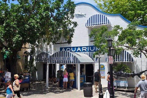 Key West Aquarium-0