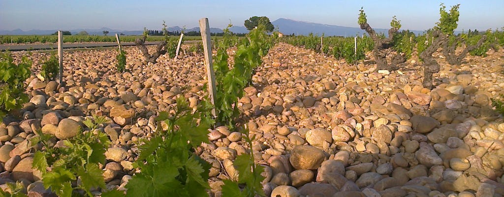 Tour And Wine Tasting At Chateauneuf Du Pape Musement Tour And Wine Tasting At Chateauneuf Du Pape Musement
