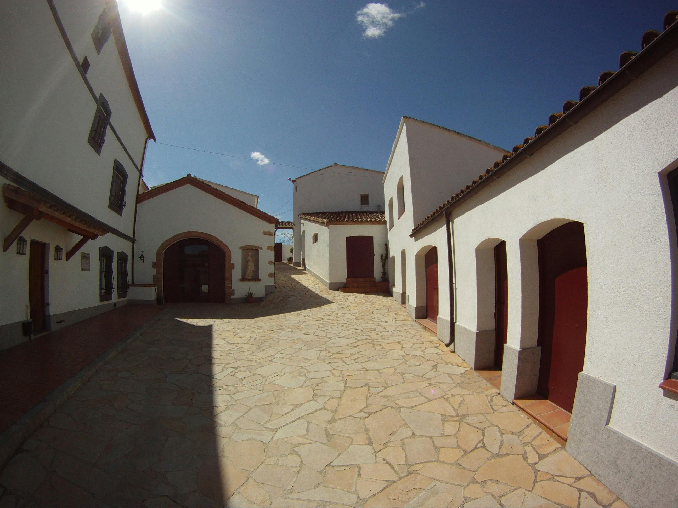 Viticulture and wine-tasting 3-hour trip-1