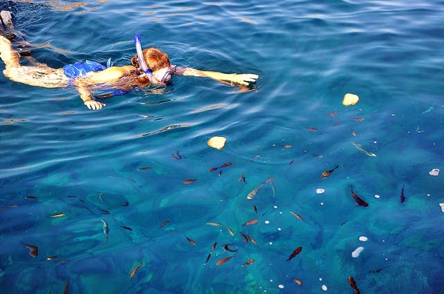 santorini catamaran cruise snorkeling.jpg