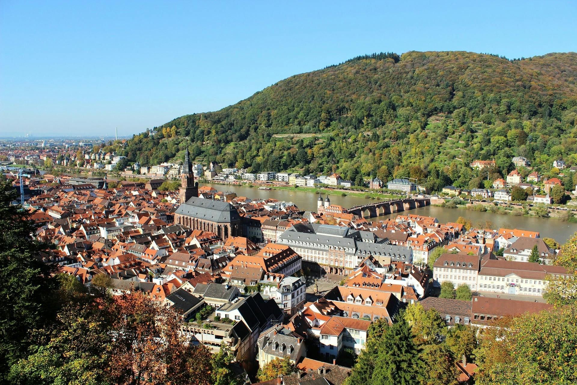 Segway Heidelberg.jpg
