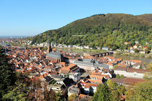 Segway Heidelberg.jpg