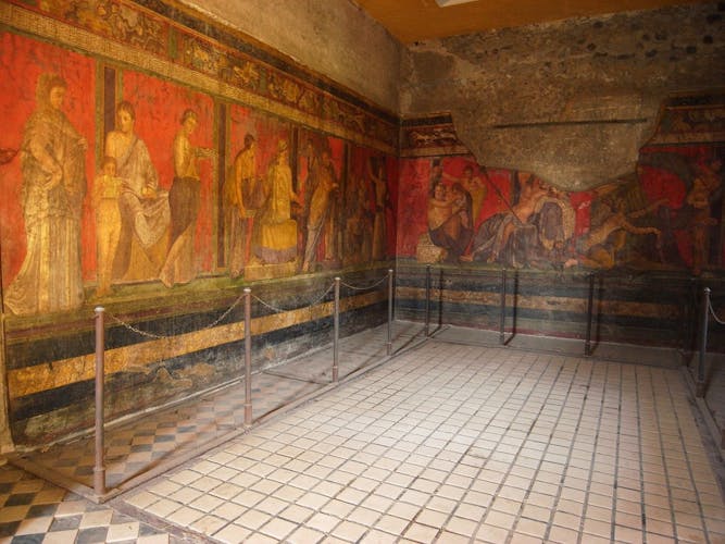 From Naples: stunning Pompeii half-day with private transfer-3