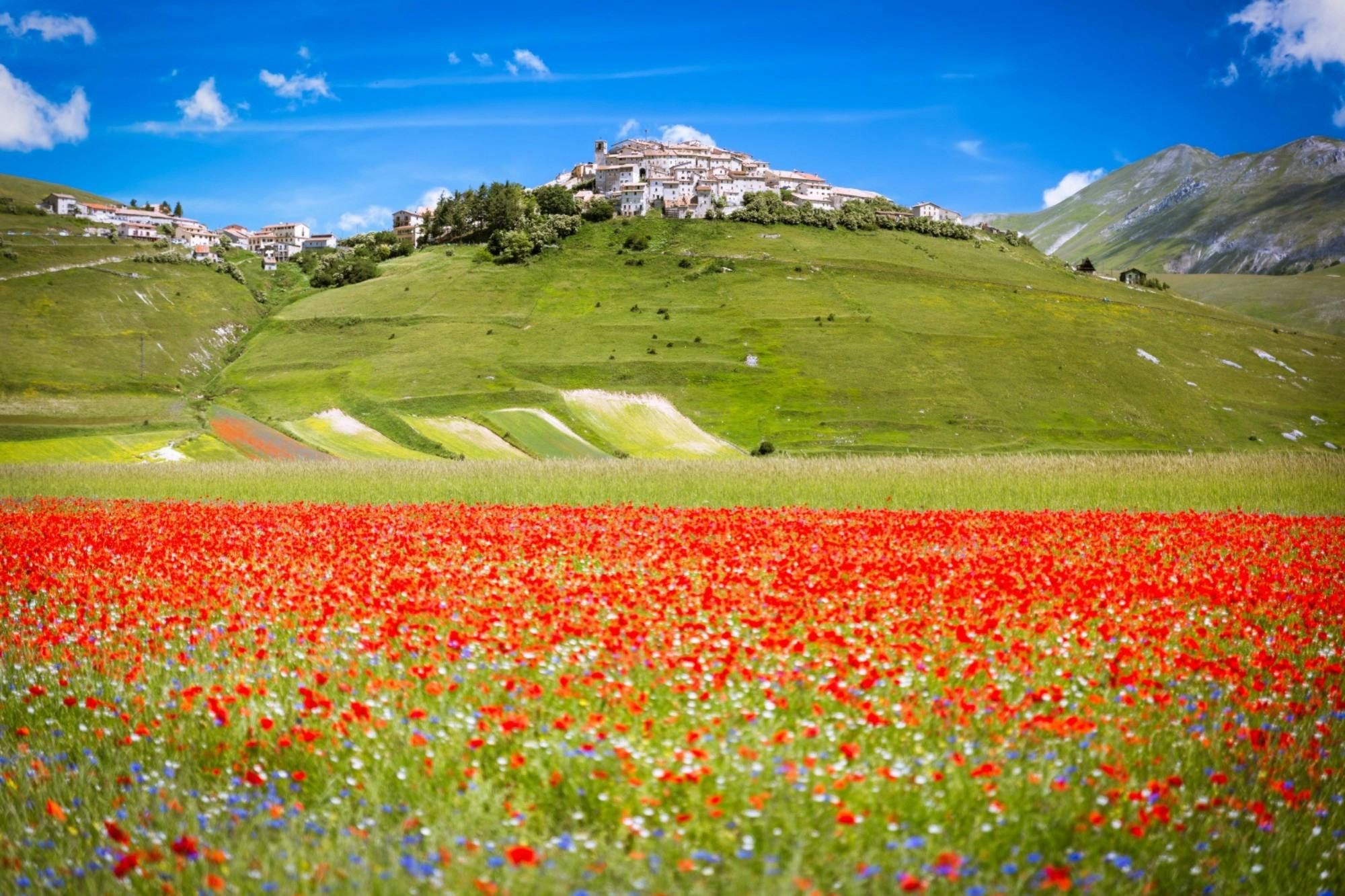 Sur la route de la floraison, Castelluccio di Norcia | Musement