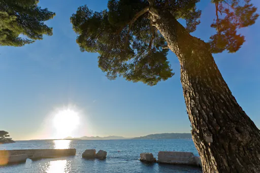 Afternoon tour of Cannes and Antibes-3