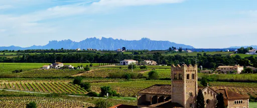 Montserrat and Penedès tour from Barcelona-3