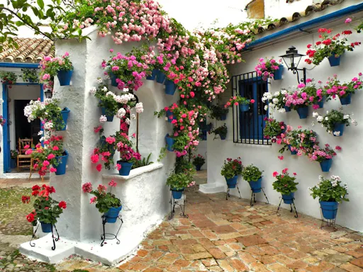 Visita guiada a los patios populares de Córdoba-3