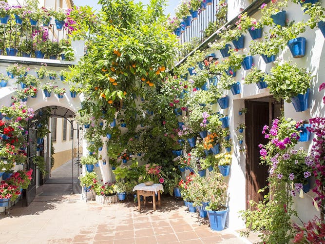 Visita guiada a los patios populares de Córdoba-4