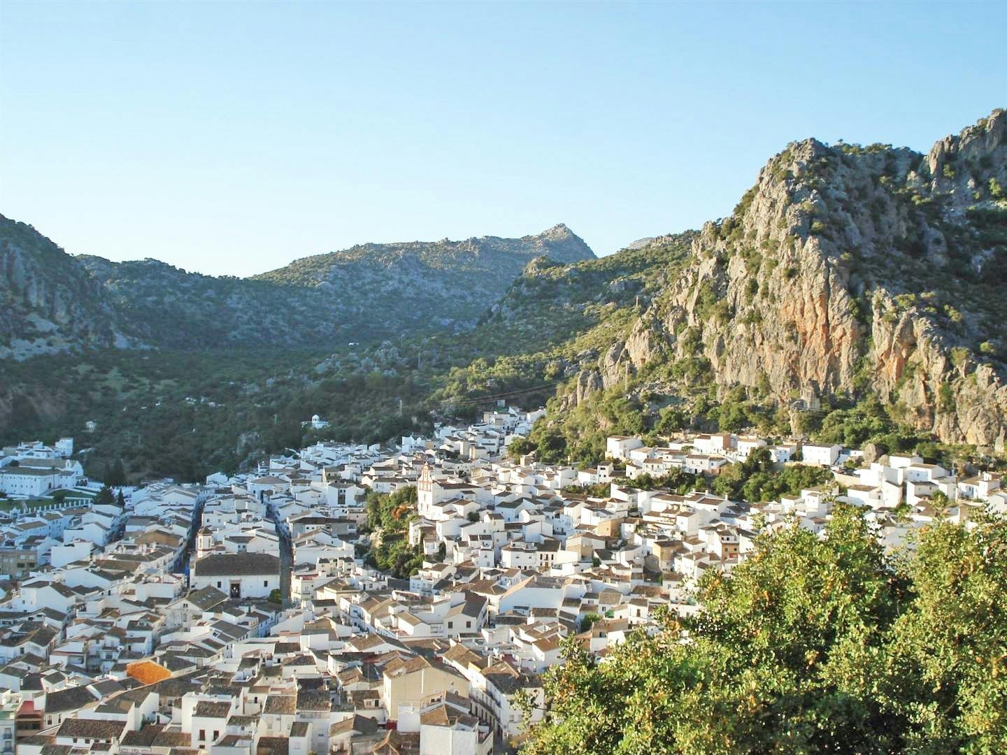 The white towns of Andalusia private day trip from Cádiz-0