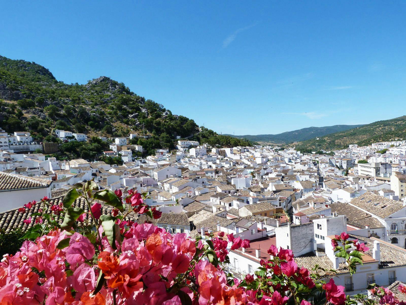 The white towns of Andalusia private day trip from Cádiz-3