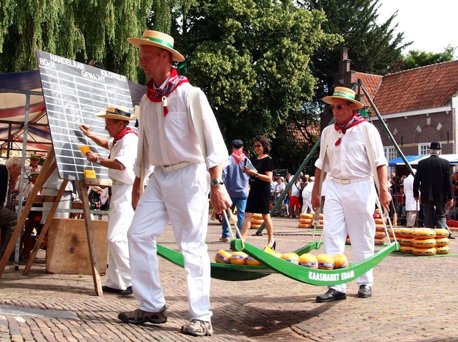 Moulins à vent à arrêts multiples et visite en bus des villages hollandais