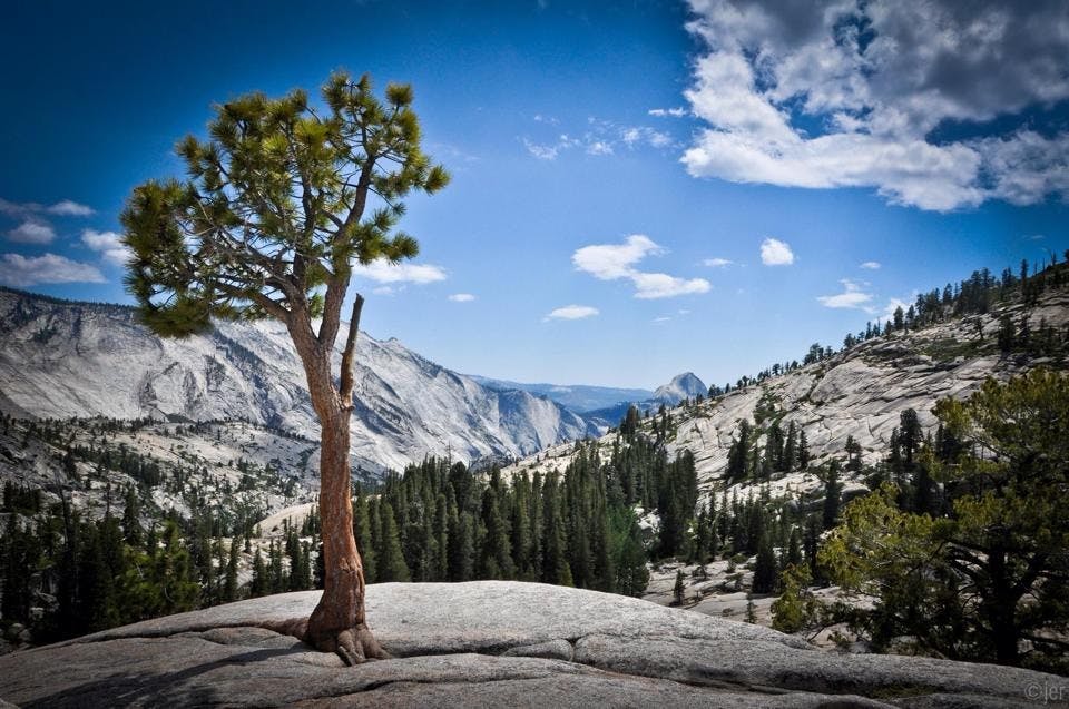 High Country Yosemite Rosales Photography 2014.jpg