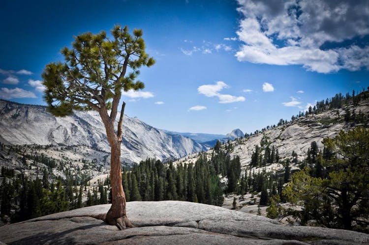 Yosemite Escape 3 Day Camping Tour Marriott