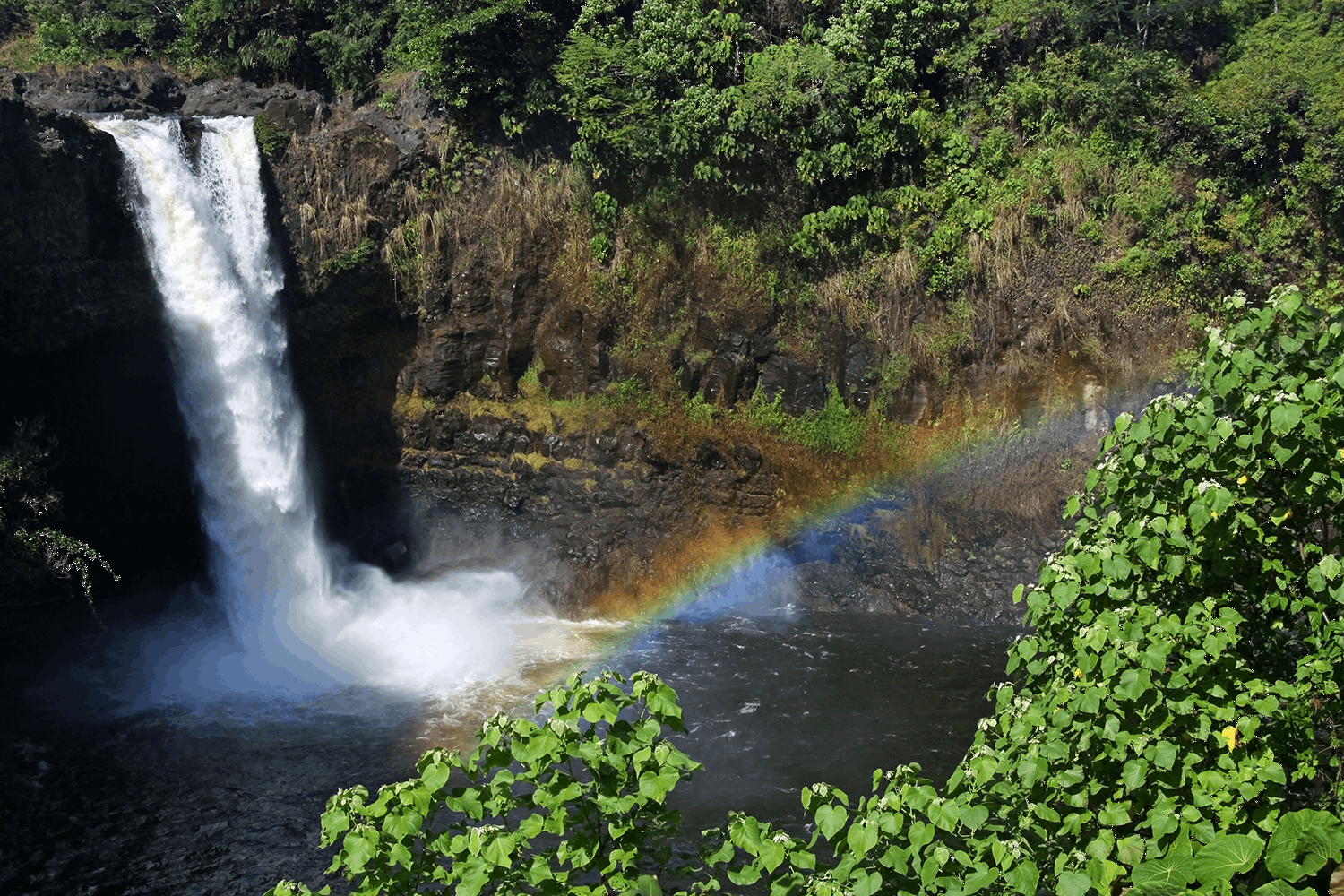 hawaii big island tour waterfall and rainbow.png