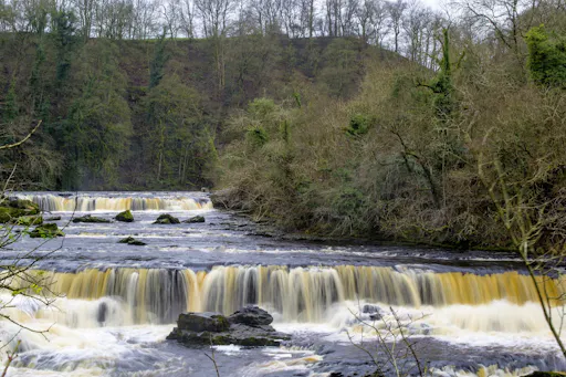 Full-day tour of the Yorkshire Dales-4