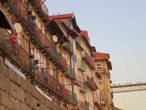 Porto half day tour - Port wine cellars & Cheese tasting-3