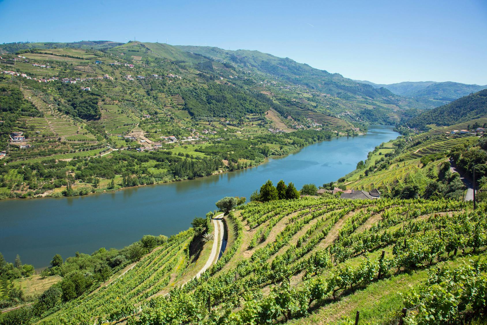 Douro valley tour - Wine tasting, lunch & river cruise-0