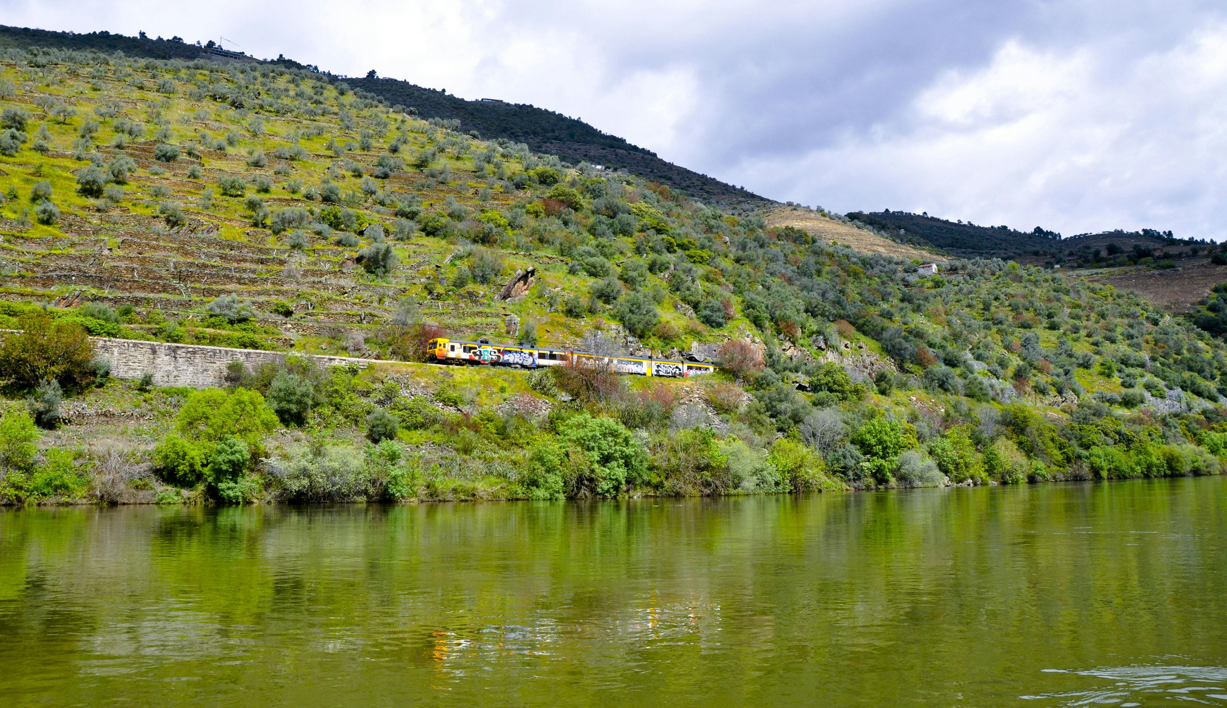 Douro valley tour - Wine tasting, lunch & river cruise-1