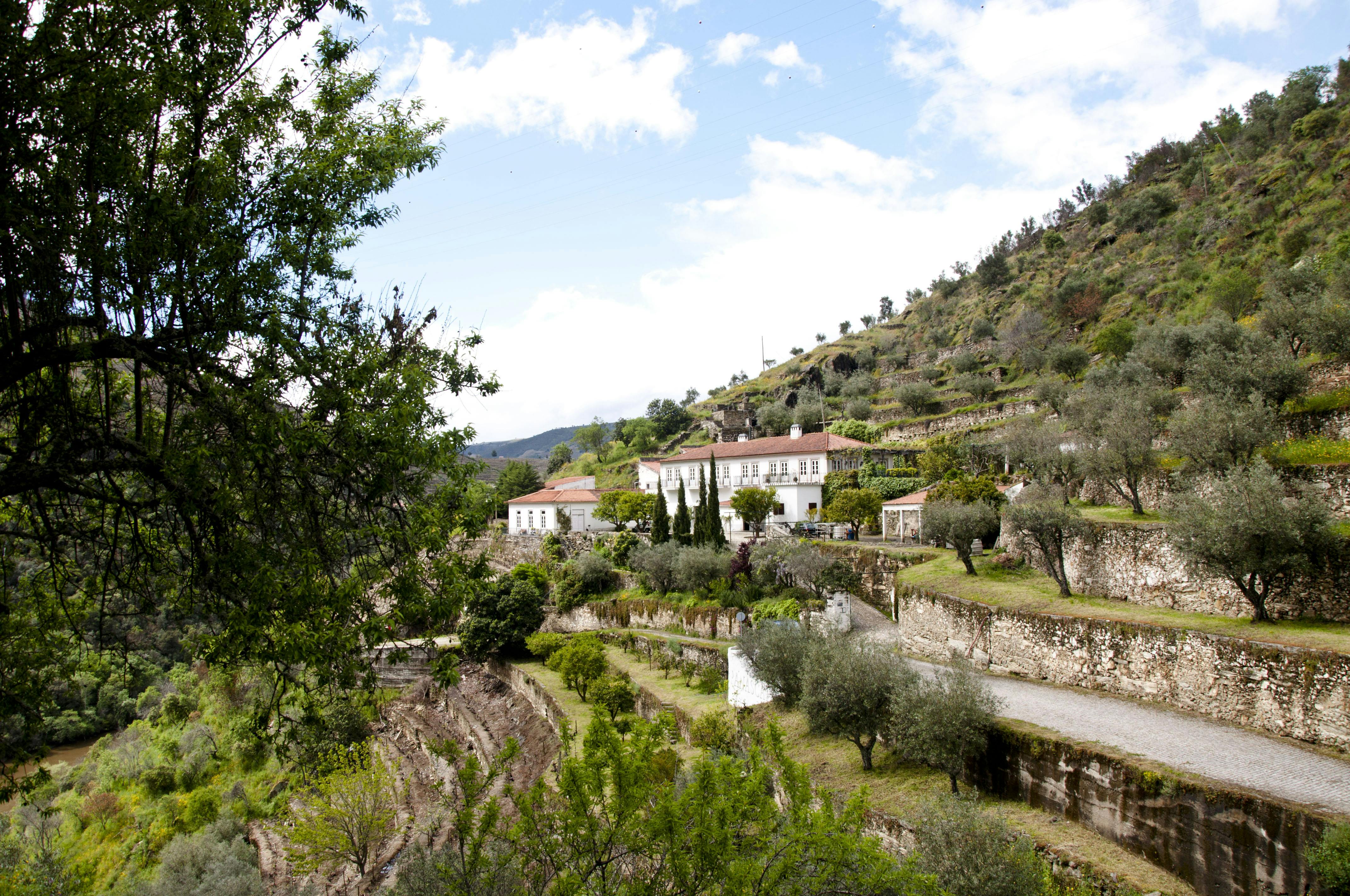 Douro valley tour - Wine tasting, lunch & river cruise-3