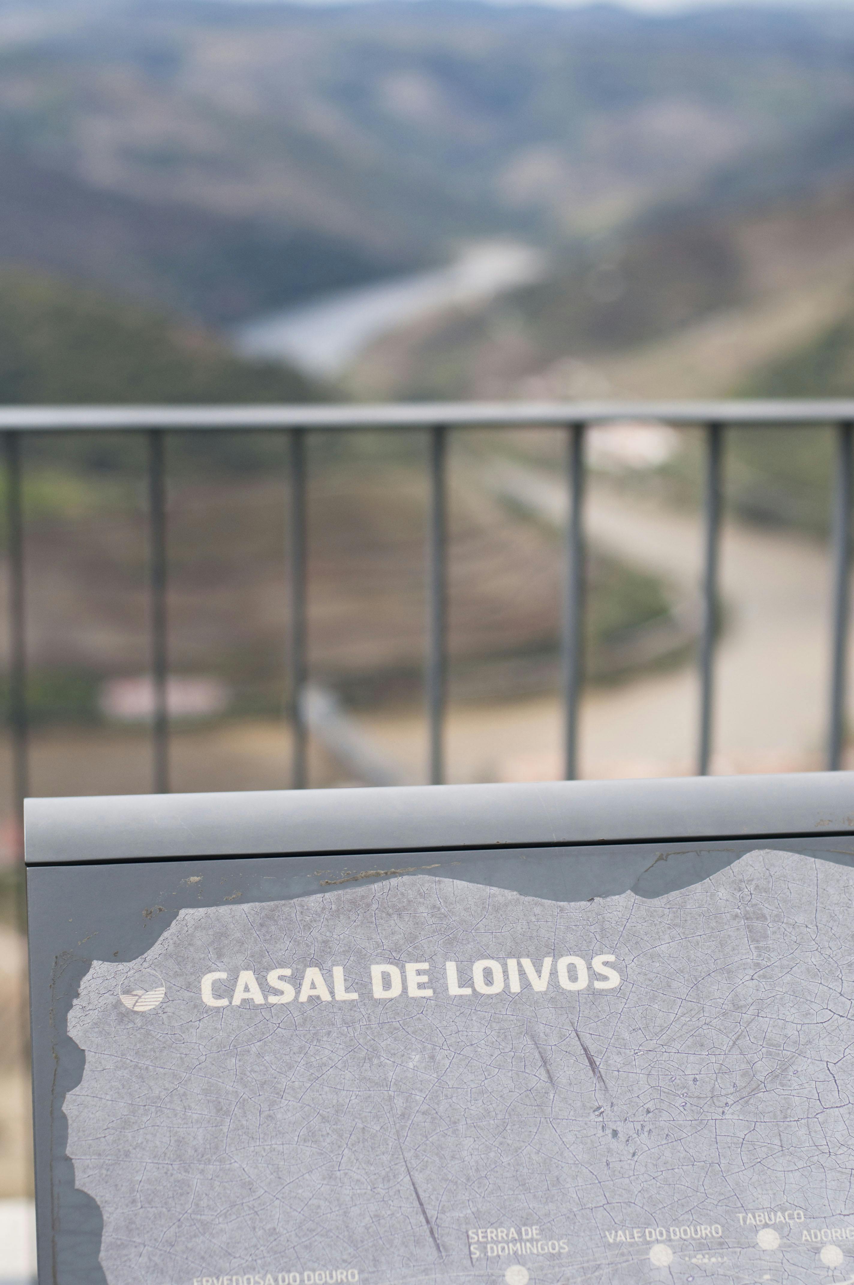 Douro valley tour - Wine tasting, lunch & river cruise-4