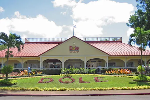 Pearl harbor and circle island Dole plantation.jpg