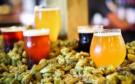 Craft Beer Cruise-2